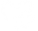 icone-logo